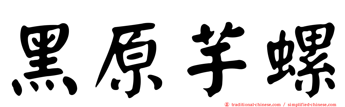黑原芋螺