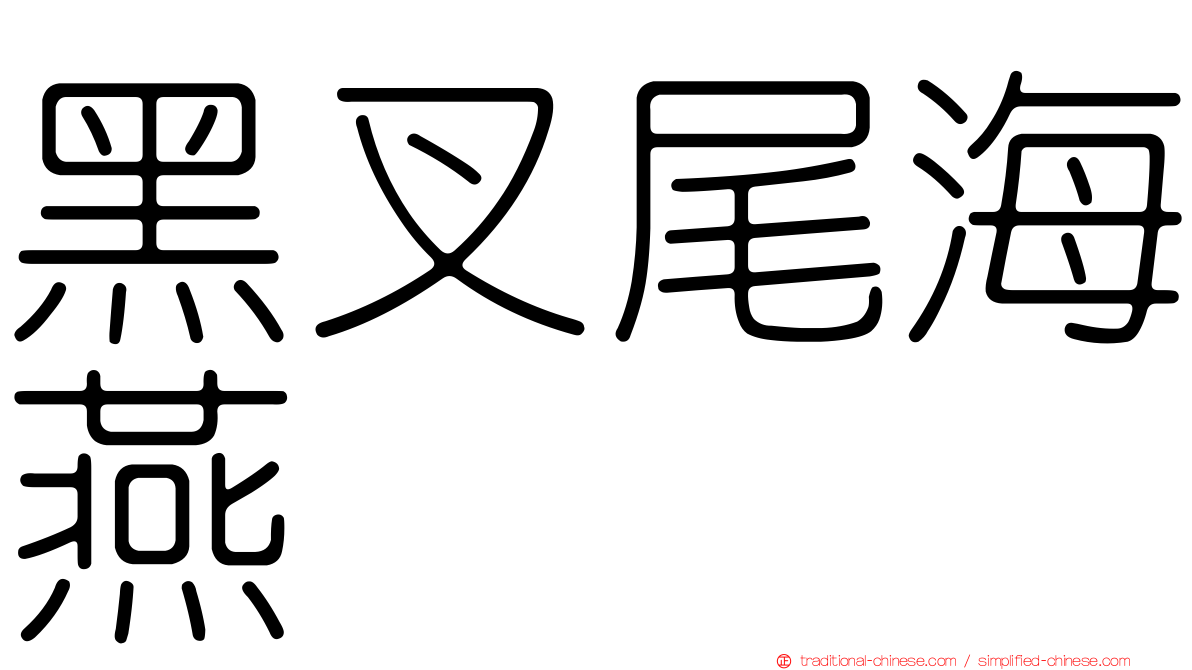 黑叉尾海燕