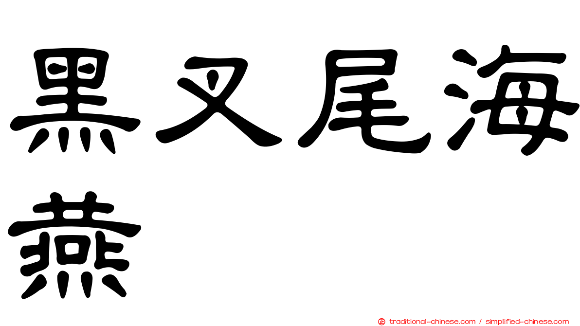 黑叉尾海燕