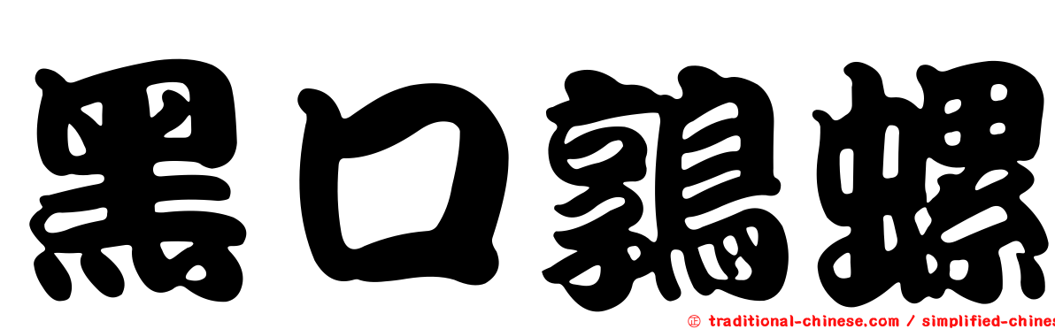黑口鶉螺