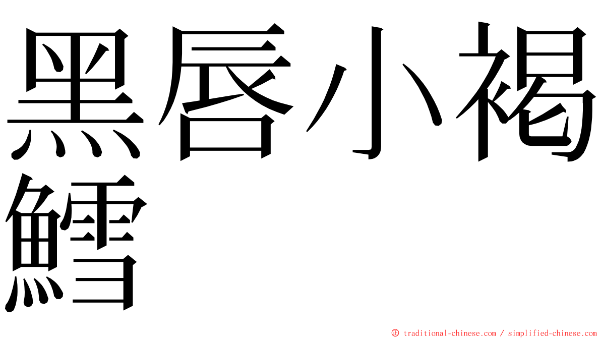 黑唇小褐鱈 ming font