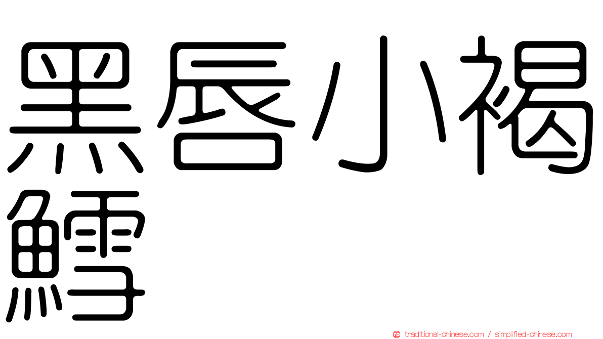 黑唇小褐鱈