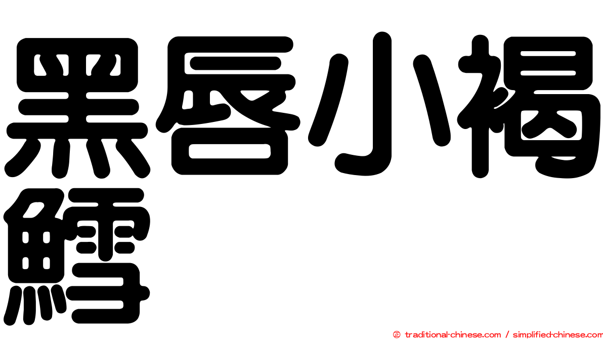 黑唇小褐鱈