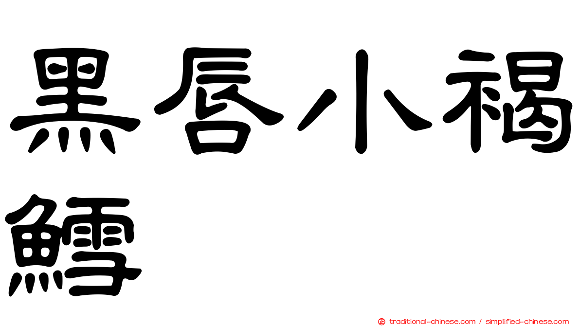 黑唇小褐鱈
