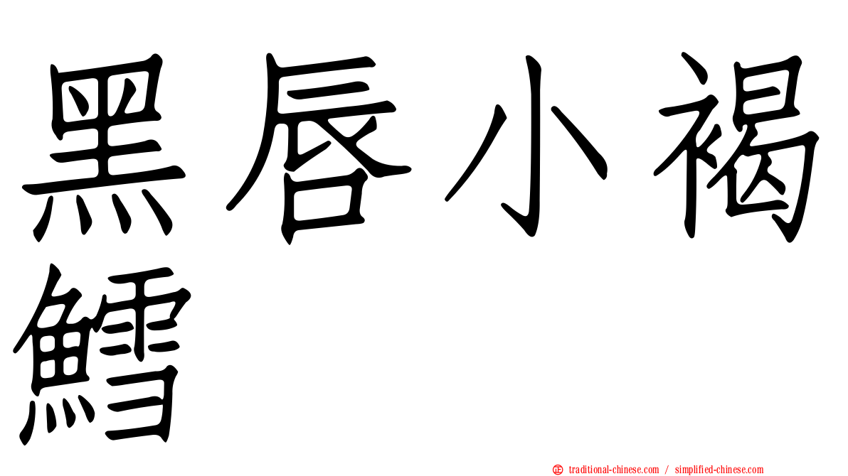 黑唇小褐鱈