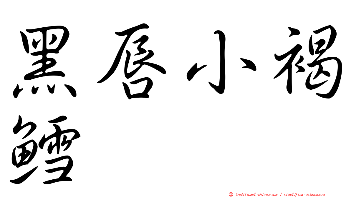 黑唇小褐鱈