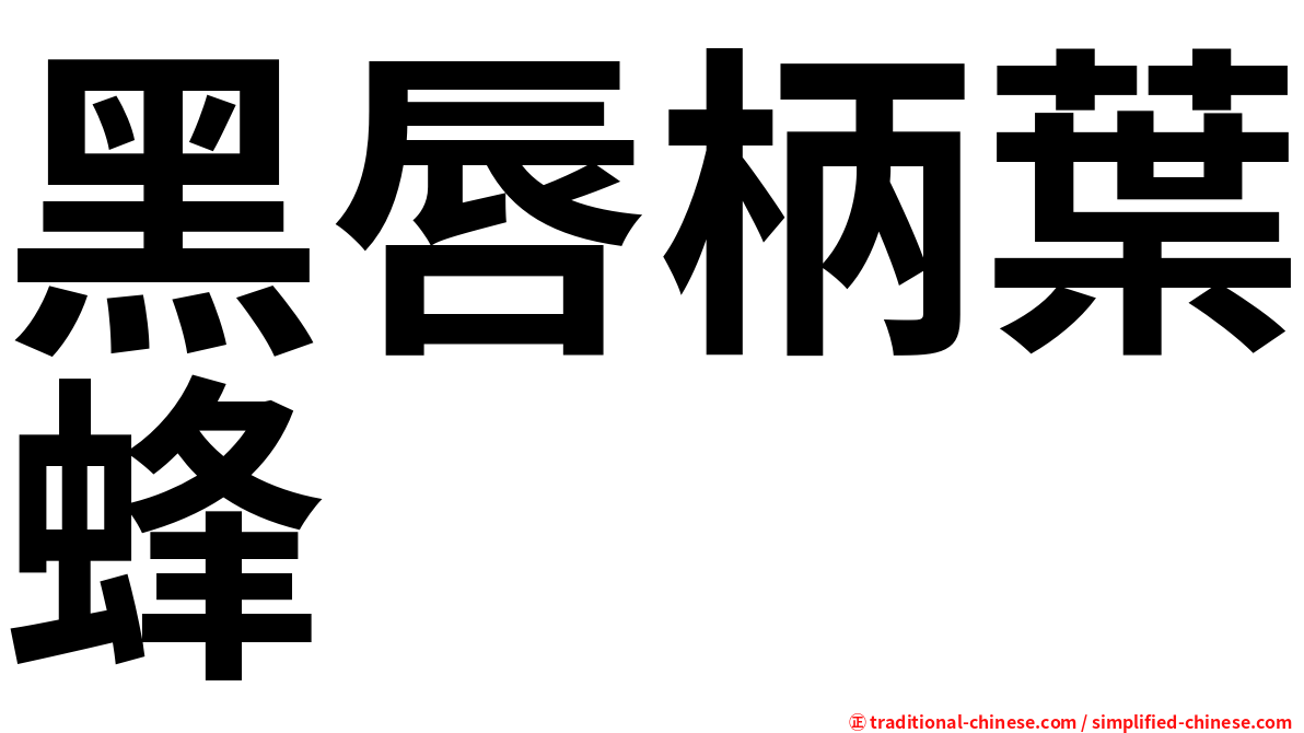 黑唇柄葉蜂