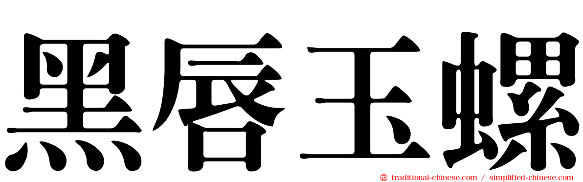 黑唇玉螺