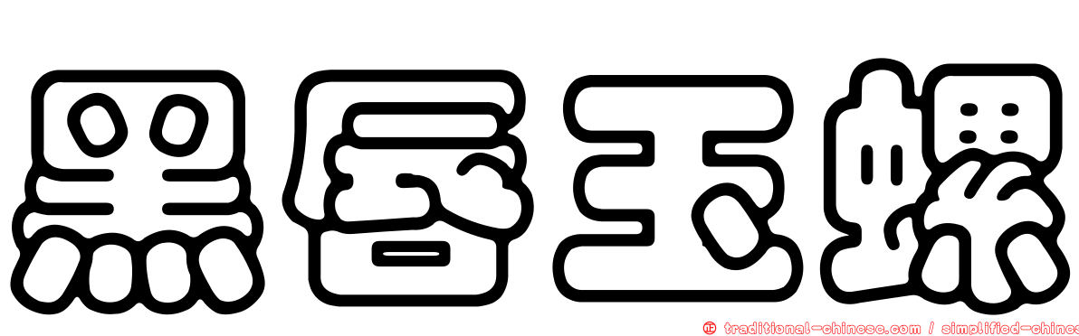 黑唇玉螺