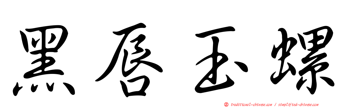 黑唇玉螺
