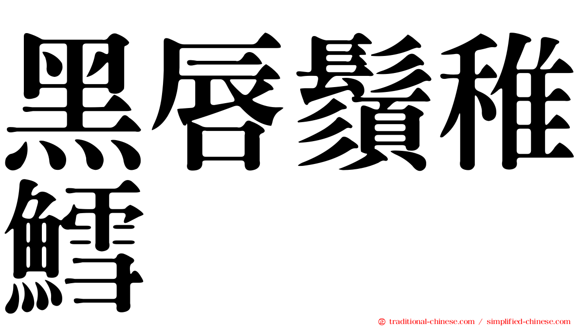 黑唇鬚稚鱈