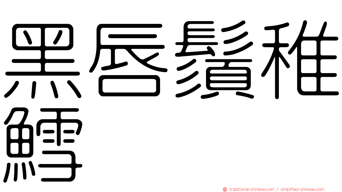 黑唇鬚稚鱈