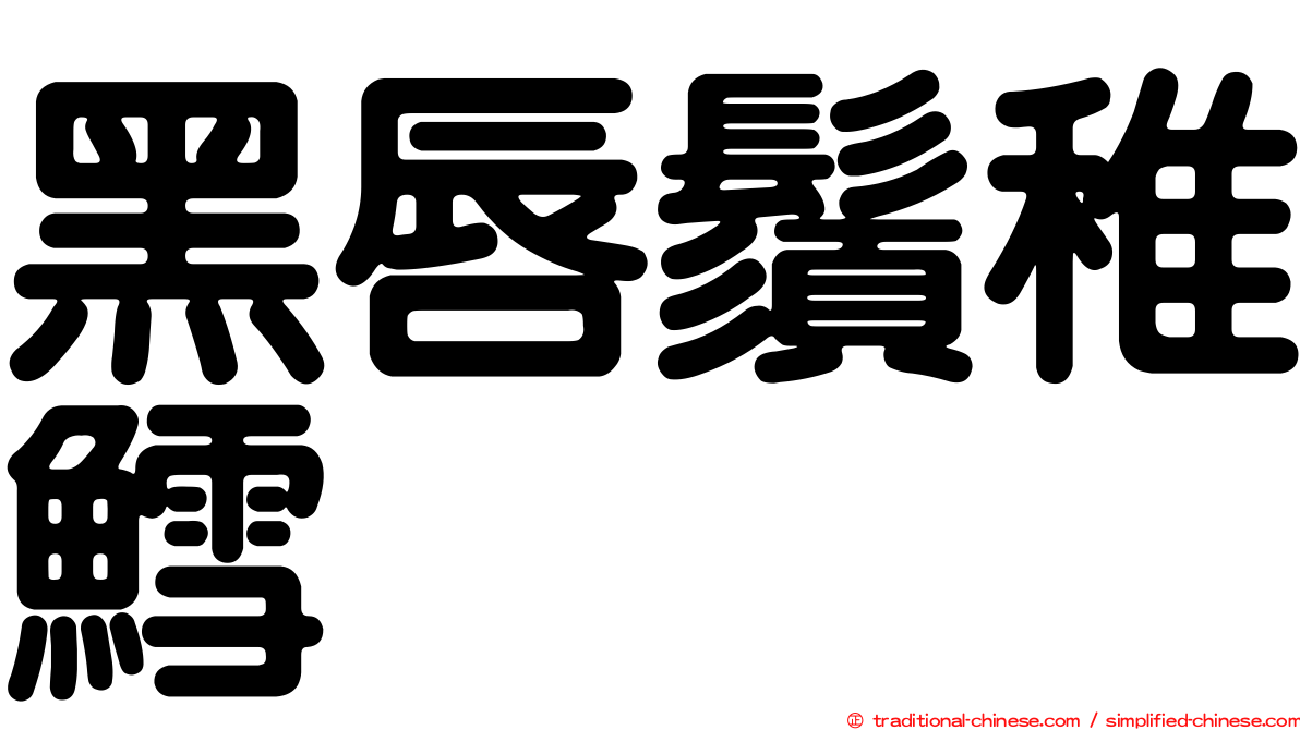 黑唇鬚稚鱈