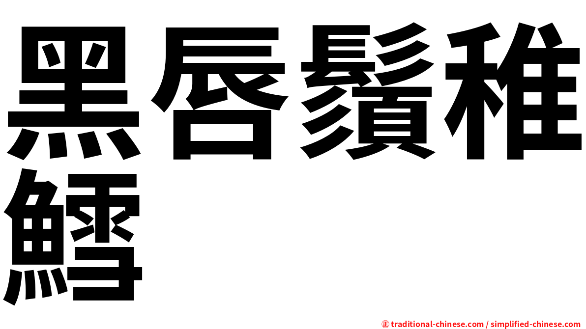 黑唇鬚稚鱈