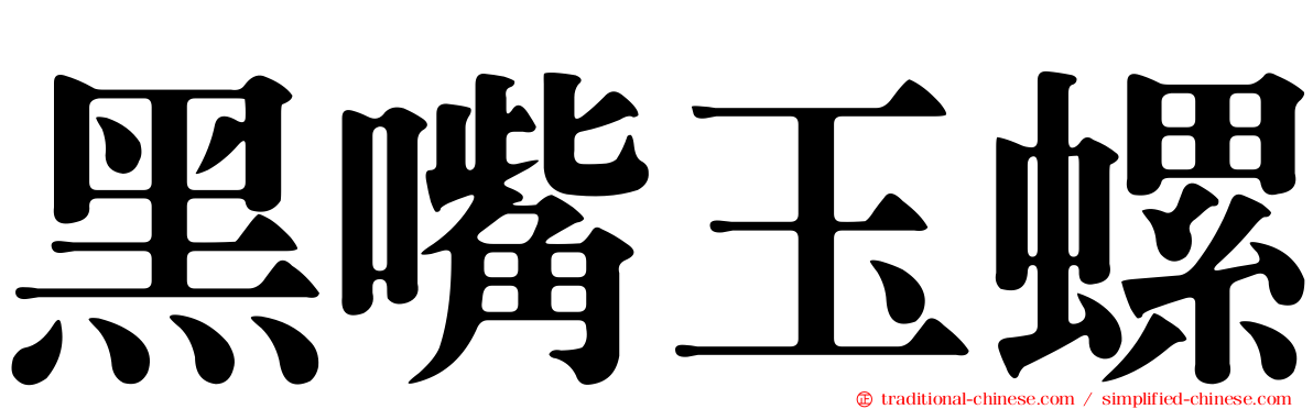 黑嘴玉螺