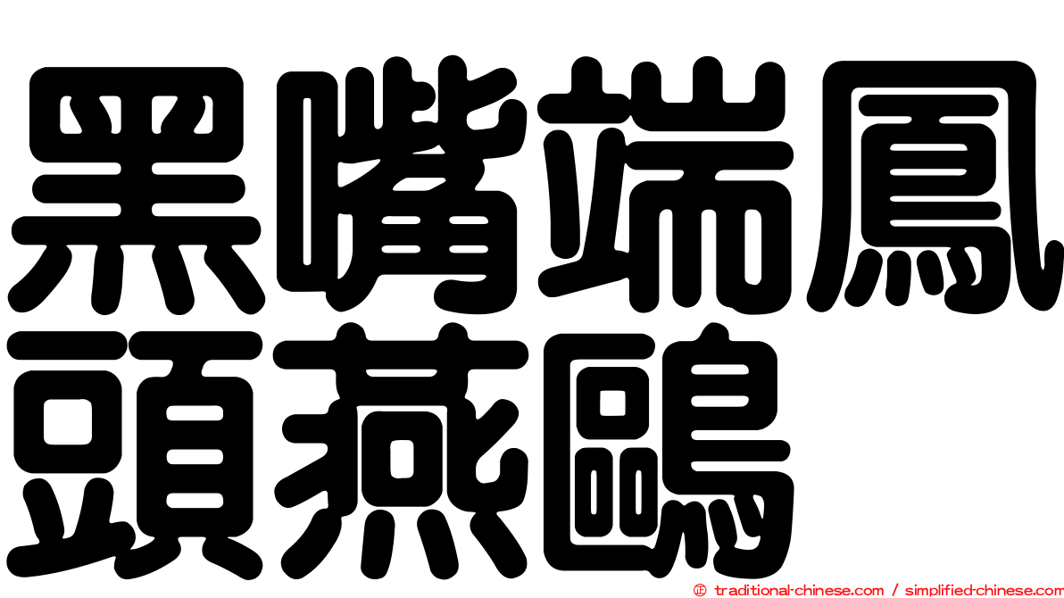 黑嘴端鳳頭燕鷗