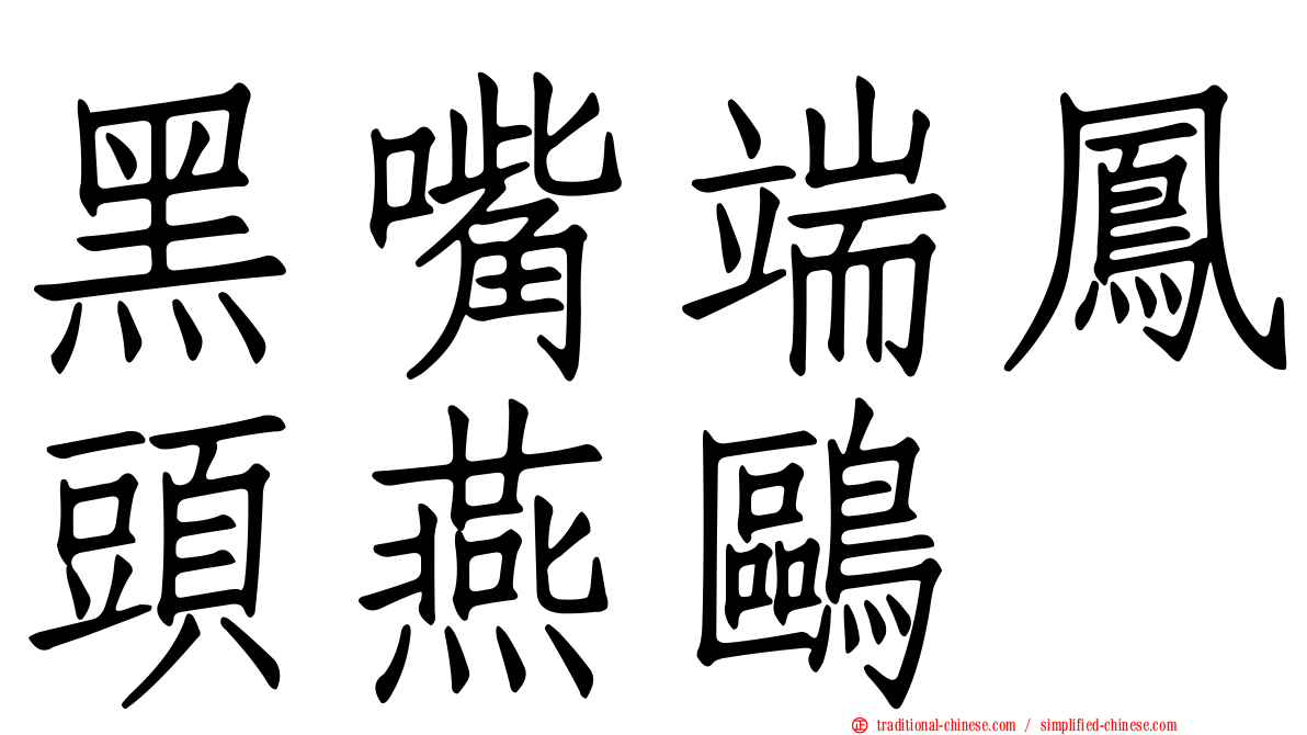 黑嘴端鳳頭燕鷗