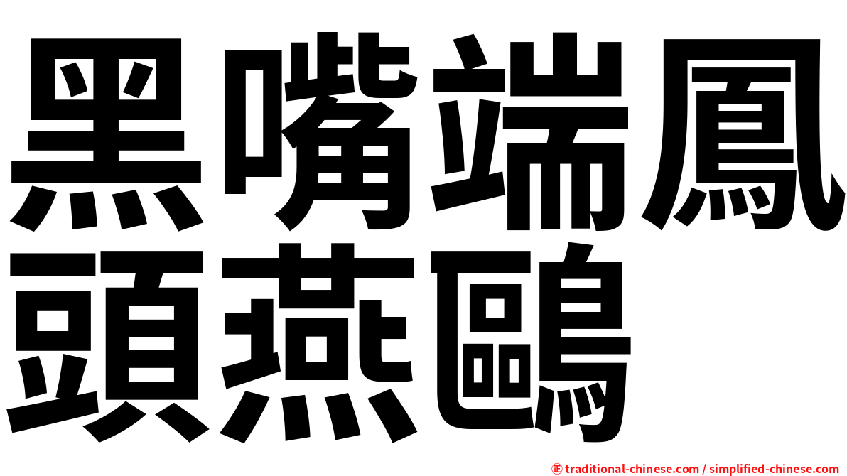 黑嘴端鳳頭燕鷗