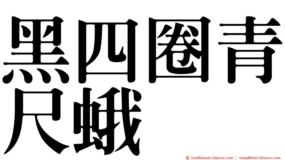 黑四圈青尺蛾