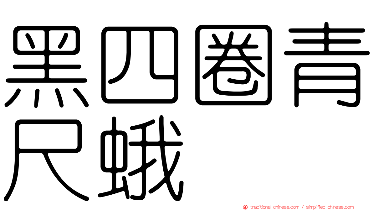 黑四圈青尺蛾