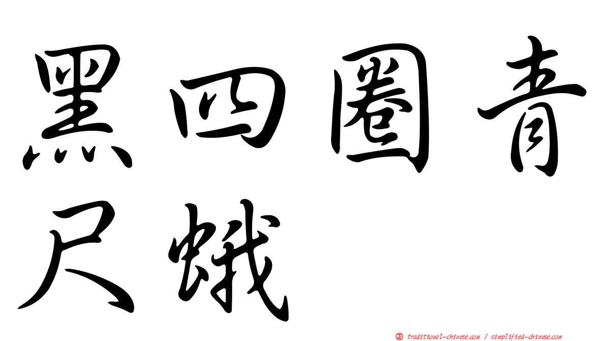 黑四圈青尺蛾