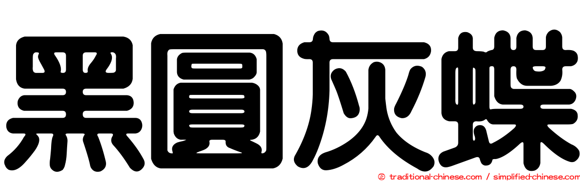黑圓灰蝶