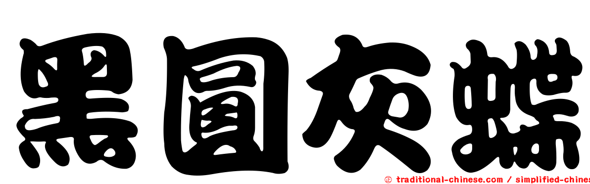 黑圓灰蝶
