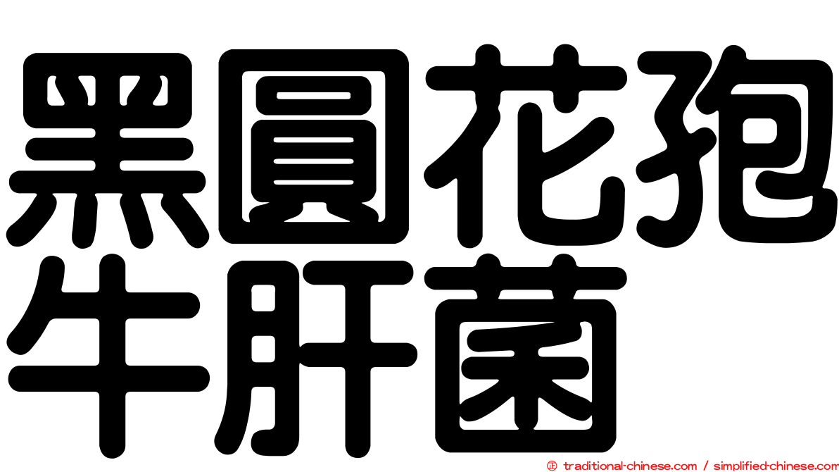 黑圓花孢牛肝菌