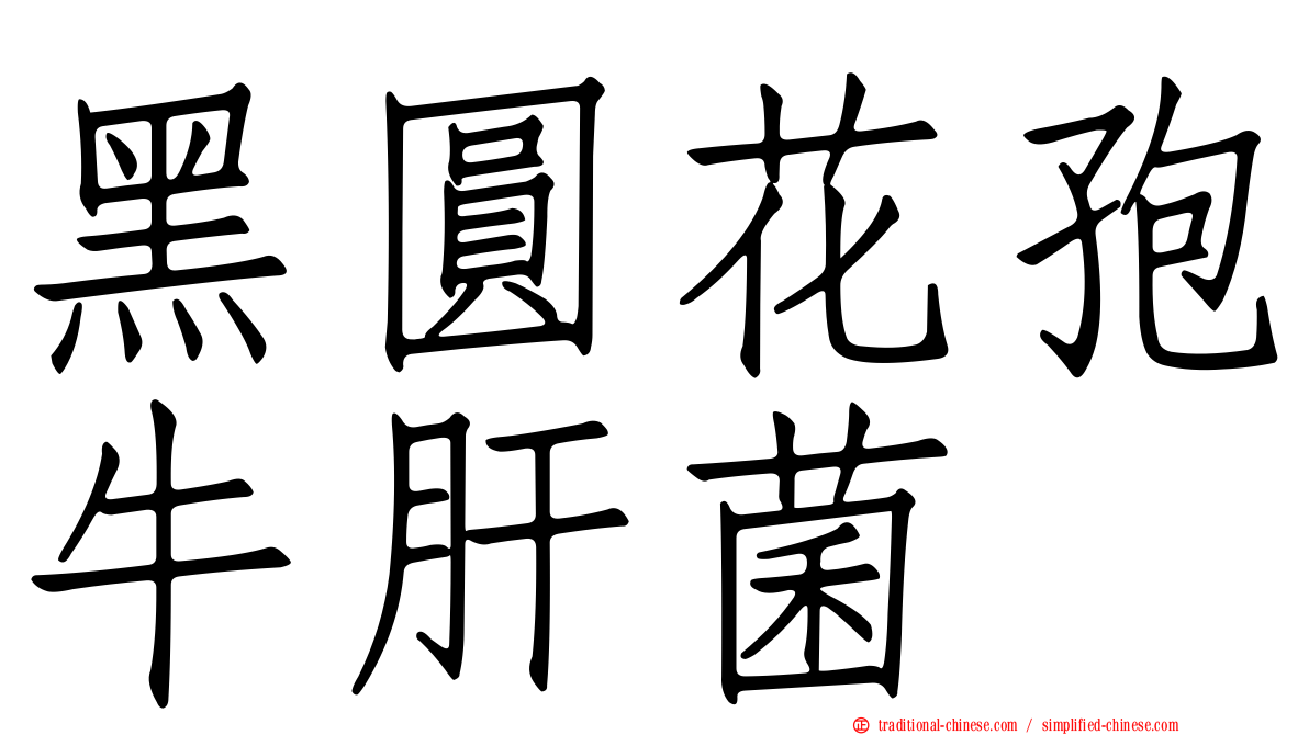 黑圓花孢牛肝菌