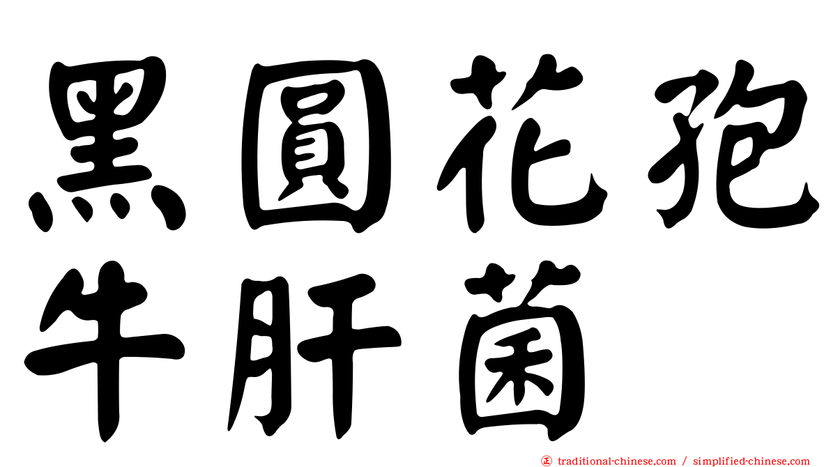 黑圓花孢牛肝菌
