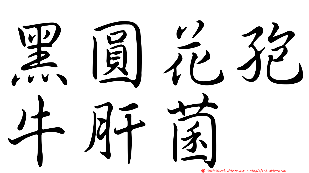 黑圓花孢牛肝菌