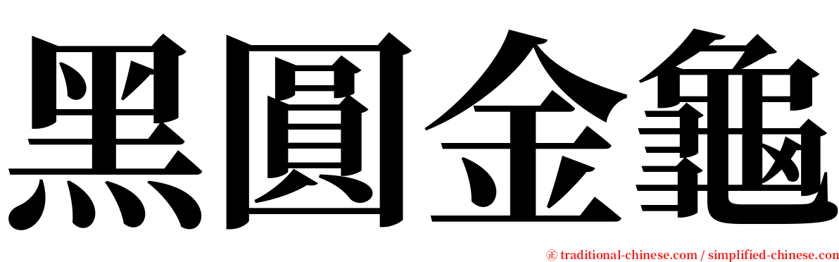 黑圓金龜 serif font