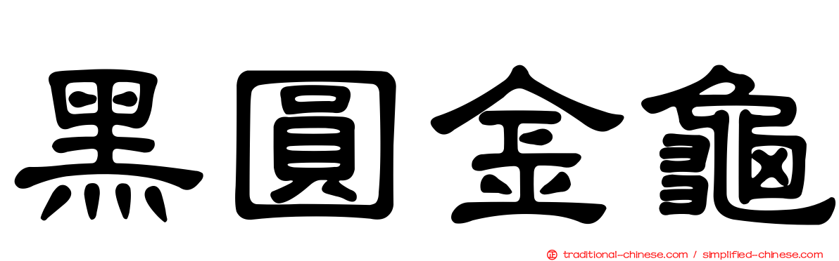 黑圓金龜
