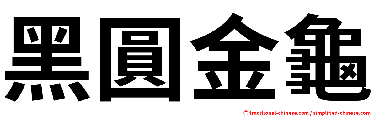 黑圓金龜