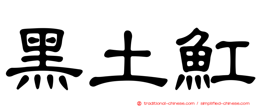 黑土魟