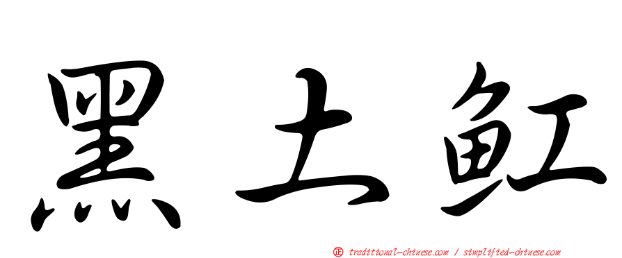 黑土魟