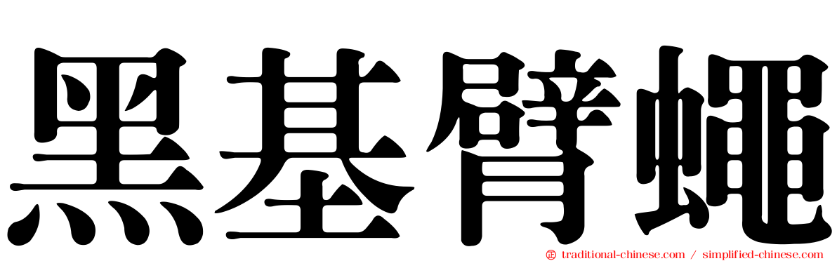 黑基臂蠅