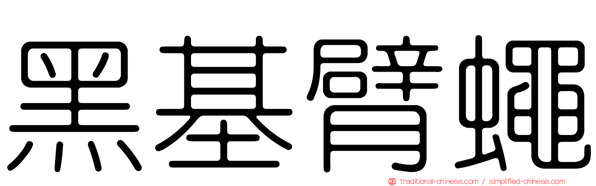 黑基臂蠅
