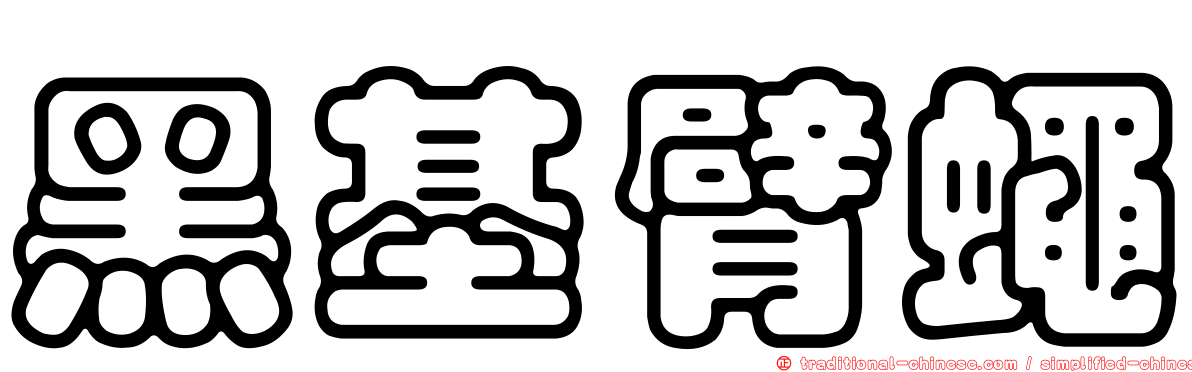 黑基臂蠅