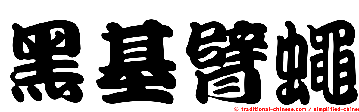 黑基臂蠅