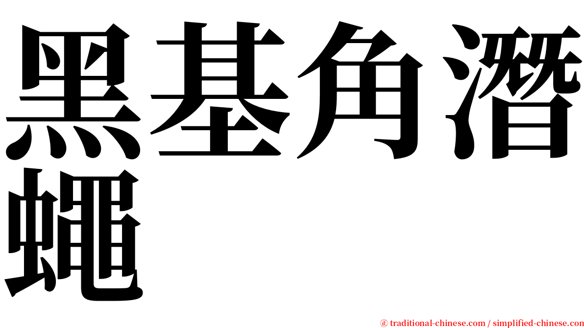 黑基角潛蠅 serif font