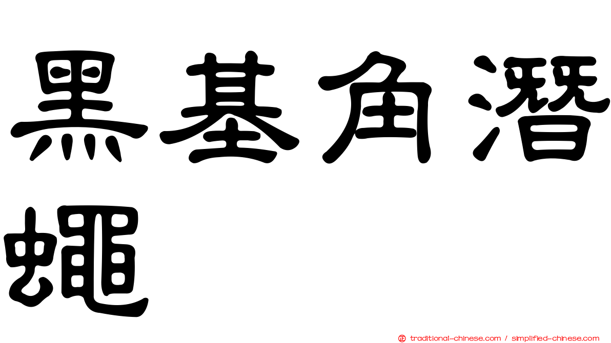 黑基角潛蠅