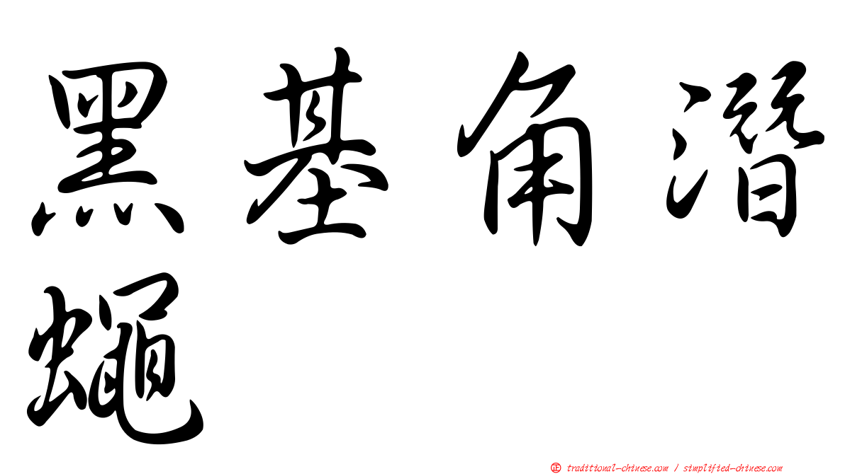 黑基角潛蠅