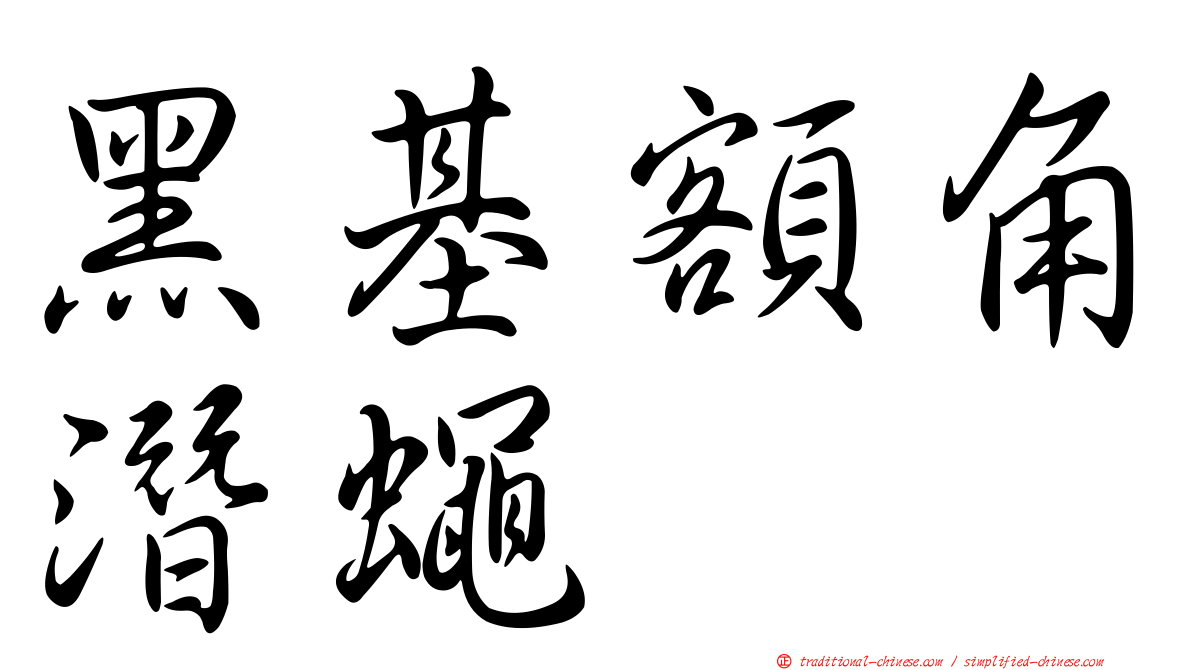 黑基額角潛蠅
