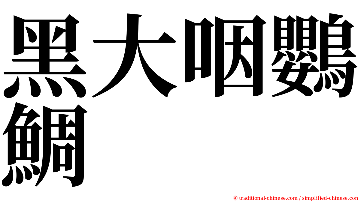 黑大咽鸚鯛 serif font