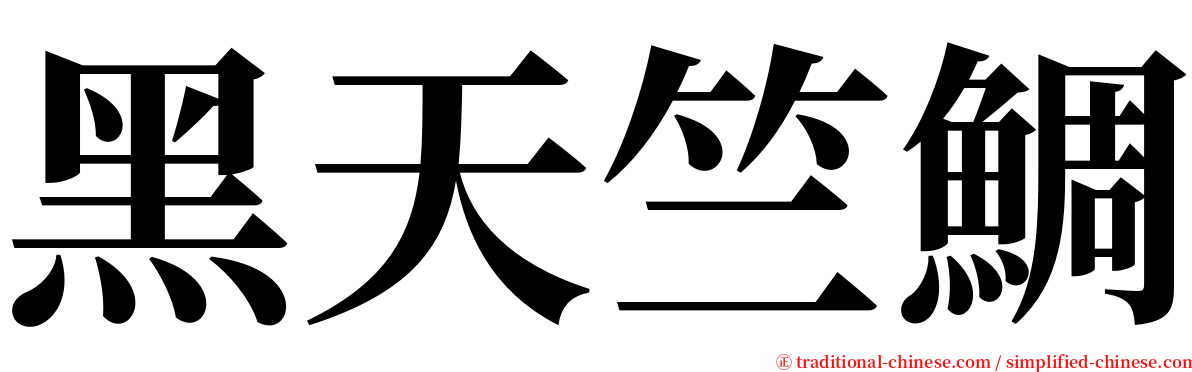 黑天竺鯛 serif font