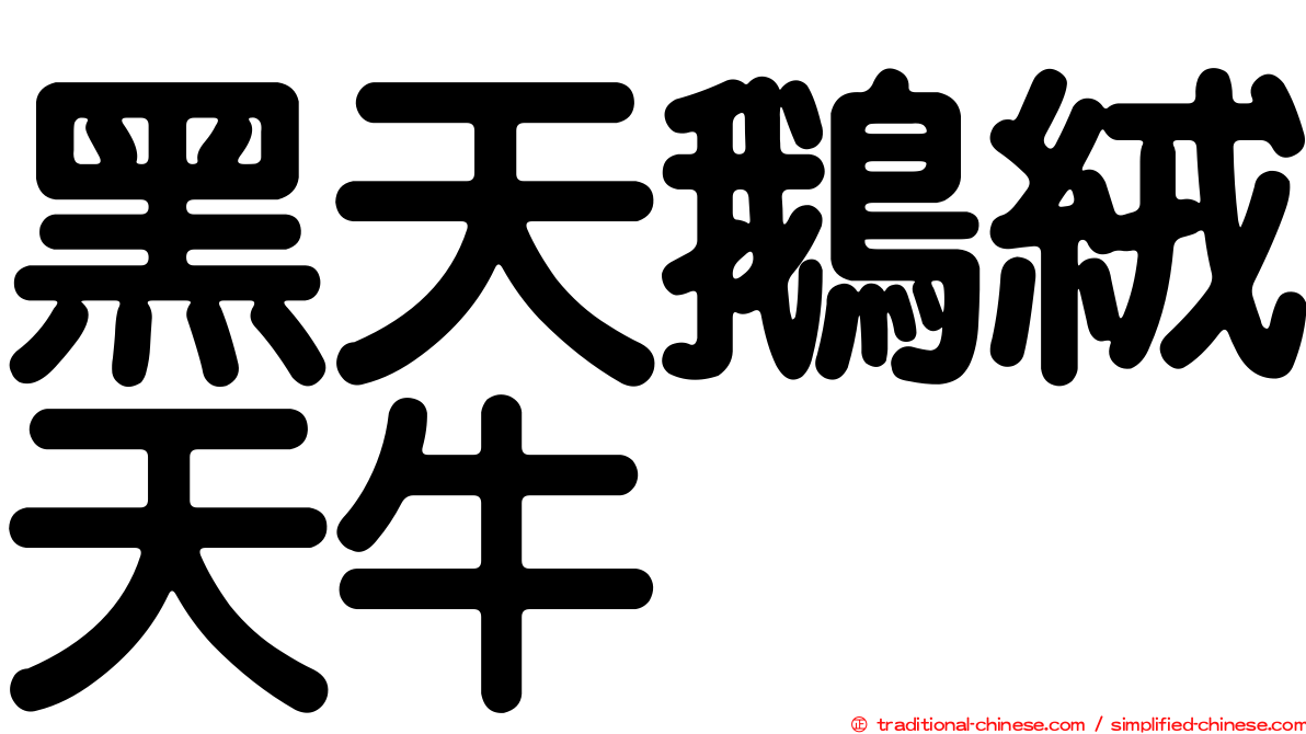 黑天鵝絨天牛