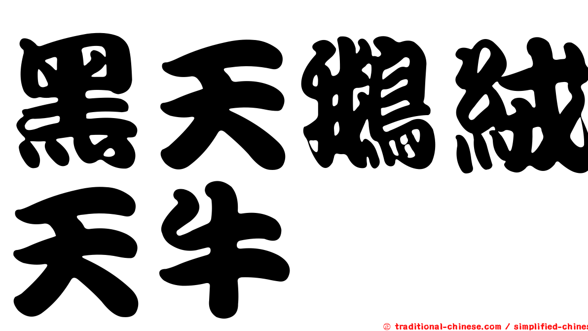黑天鵝絨天牛