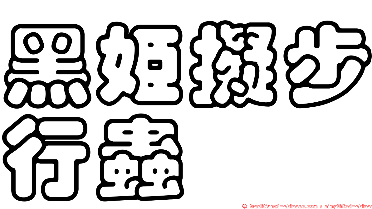 黑姬擬步行蟲