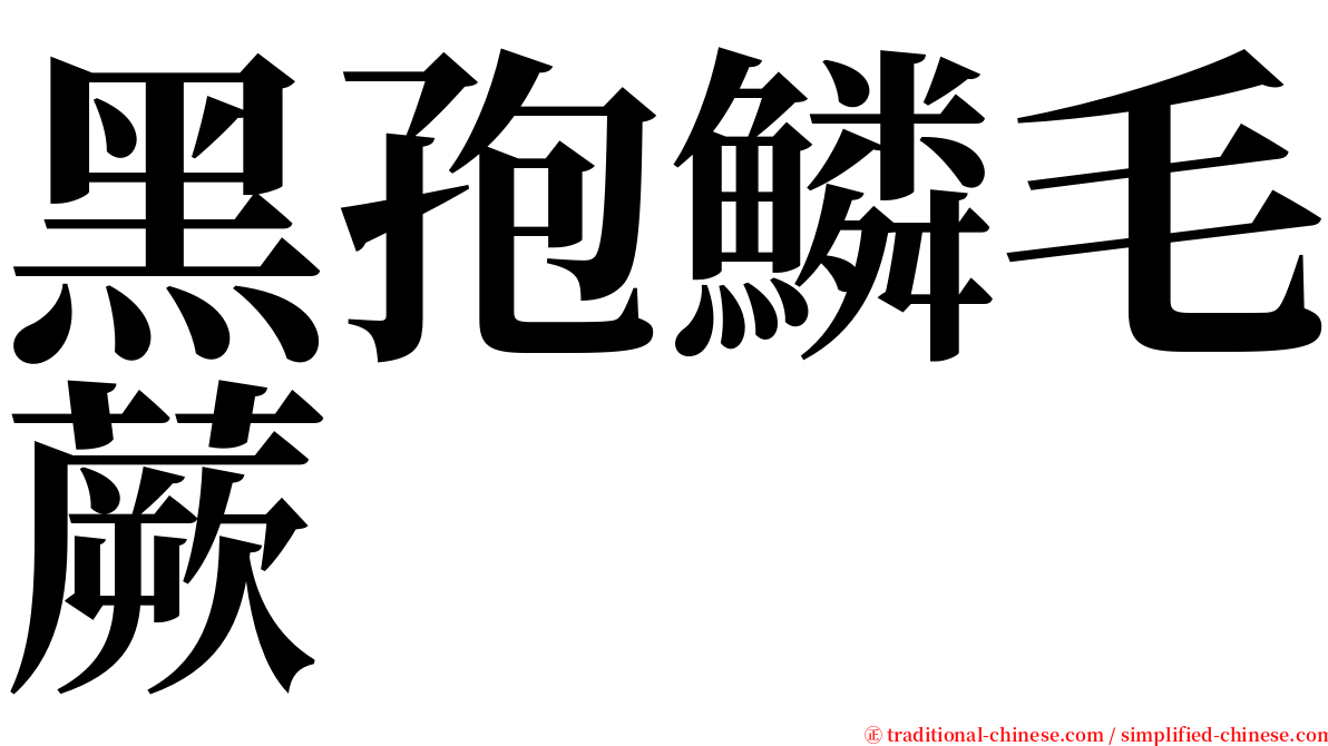 黑孢鱗毛蕨 serif font